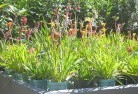 Bukkullaplant-nursery-17.jpg; ?>