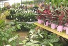 Bukkullaplant-nursery-7.jpg; ?>